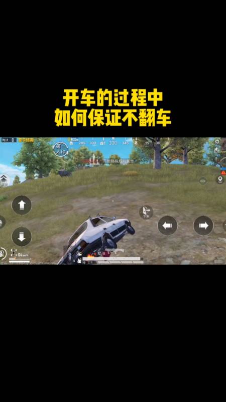 和平精英《向日葵》外挂